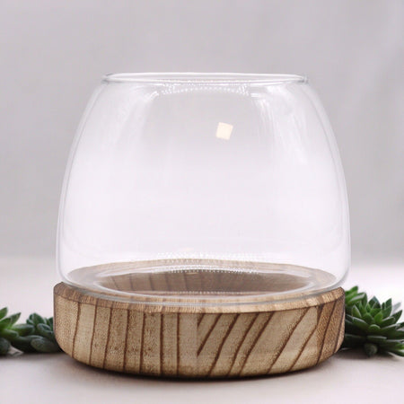 Small Terrarium on Natural Tung Wood