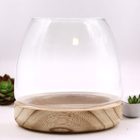Medium Terrarium on Natural Tung Wood