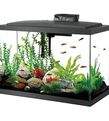 Aquarium Glass 20 Gallon Starter Kit with LED Lighting 20 High