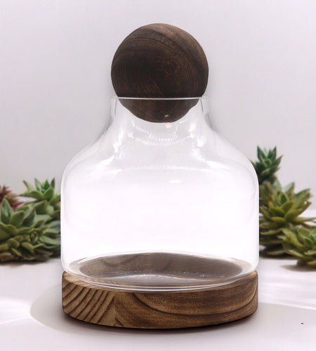 Medium Ball Top Terrarium on Dark Tung Wood