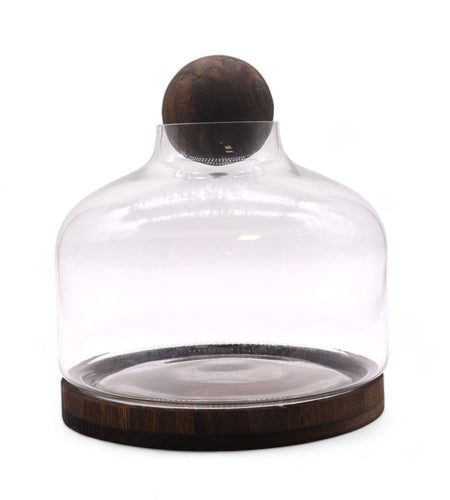 Ex-Large Ball Top Terrarium on Dark Tung Wood