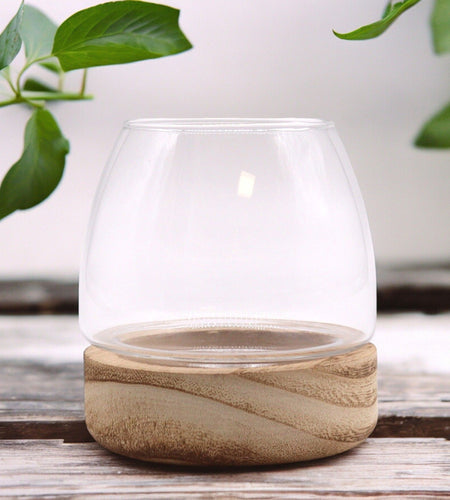 Mini Terrarium on Natural Tung Wood