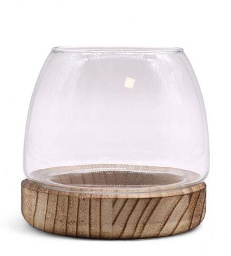 Small Terrarium on Natural Tung Wood