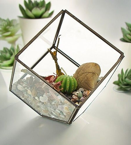 Glass Terrarium - Cube on Corner
