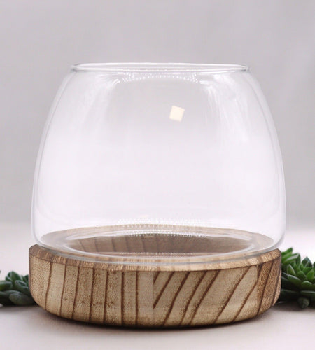 Small Terrarium on Natural Tung Wood