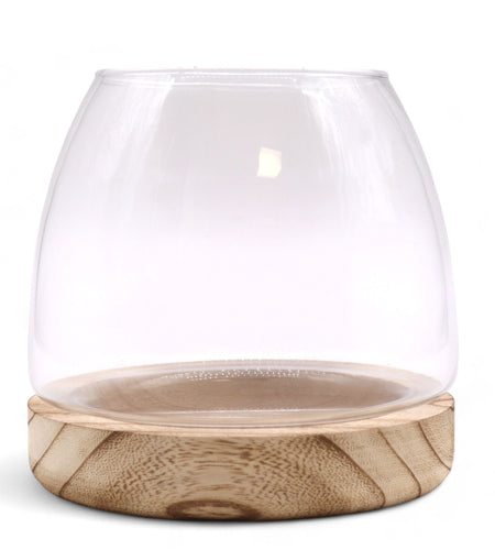 Medium Terrarium on Natural Tung Wood