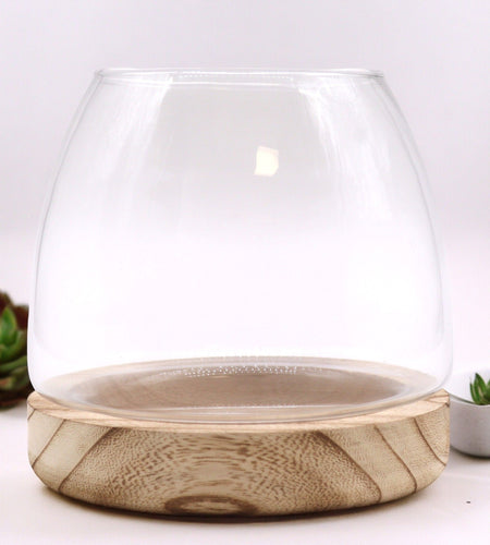 Medium Terrarium on Natural Tung Wood