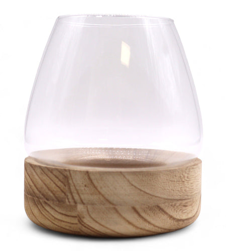 Large Terrarium on Natural Tung Wood