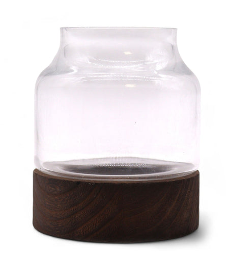 Small Shaped Terrarium on Dark Tung Wood