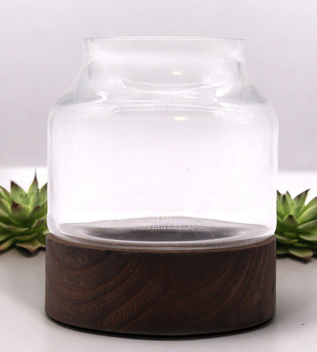 Small Shaped Terrarium on Dark Tung Wood