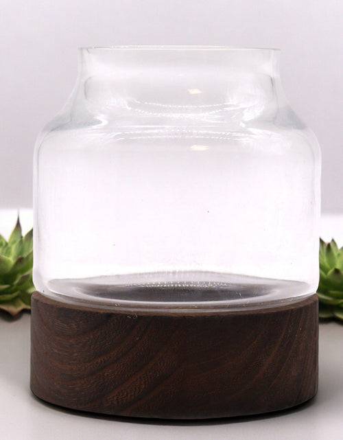 Load image into Gallery viewer, Small Shaped Terrarium on Dark Tung Wood
