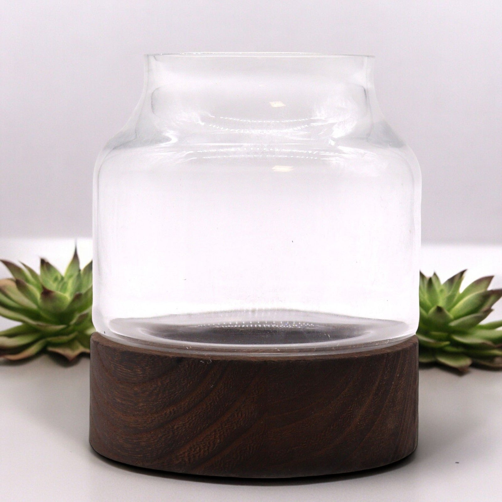 Small Shaped Terrarium on Dark Tung Wood