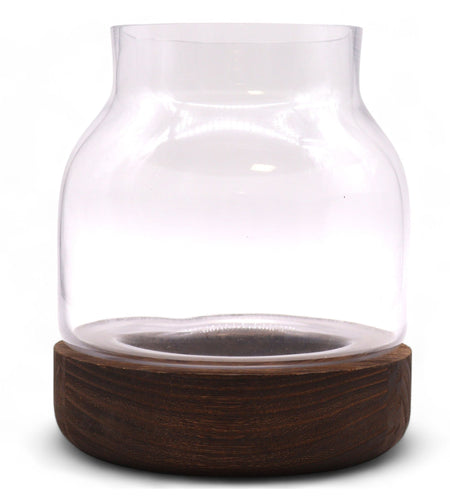 Medium Shaped Terrarium on Dark Tung Wood
