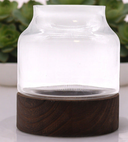 Medium Shaped Terrarium on Dark Tung Wood