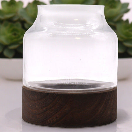 Medium Shaped Terrarium on Dark Tung Wood