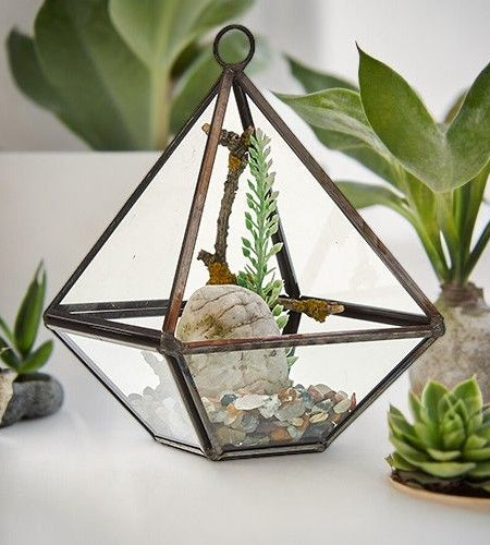 Glass Terrarium - Small Diamond