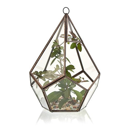 Load image into Gallery viewer, Glass Terrarium - Large Pentagon
