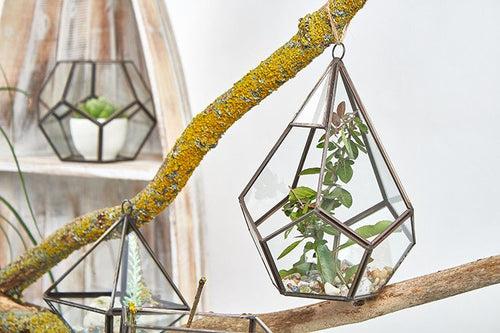 Load image into Gallery viewer, Glass Terrarium - Large Pentagon
