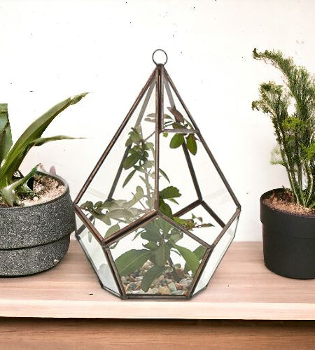 Glass Terrarium - Large Pentagon