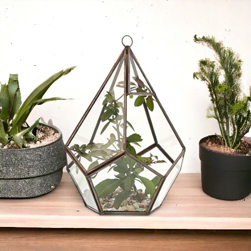 Load image into Gallery viewer, Glass Terrarium - Large Pentagon
