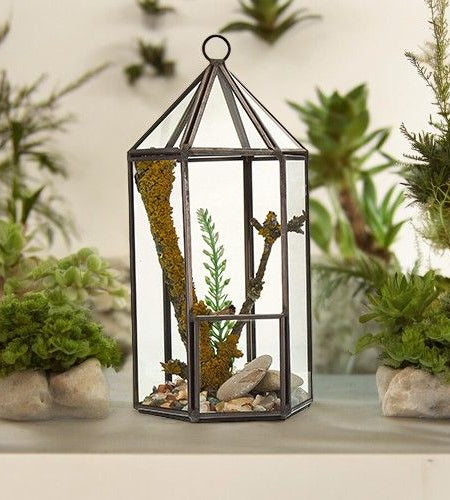 Glass Terrarium - Lantern Shape