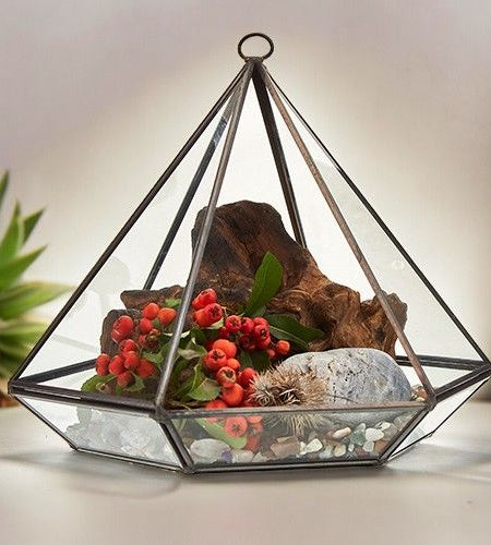 Glass Terrarium - Large Diamond
