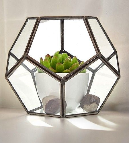 Glass Terrarium - Large Octagon